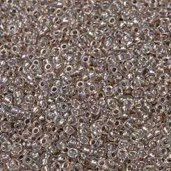 MIYUKI Round Rocailles Beads&nbsp;X-SEED-G008-RR2195