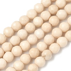 Natural Fossil Beads Strands&nbsp;G-K209-05D-4mm