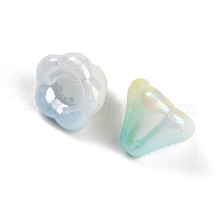 Two Tone ABS Plastic Beads&nbsp;PL-CBAE6F8-02