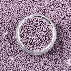 FGB 11/0 Grade A Glass Seed Beads&nbsp;SEED-S030-1008