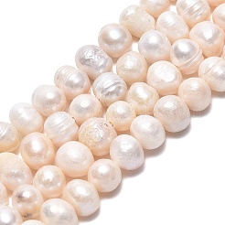 天然養殖淡水パールビーズ連売り  ポテト  貝殻色  4.5~6.5x4~9mm  穴：0.6mm  約64~67個/連  13.39~13.58インチ（34~34.5cm）&nbsp;X-PEAR-N013-05H-01