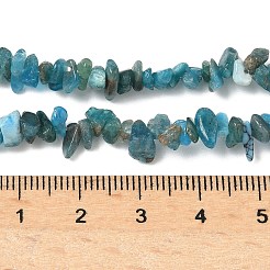 Natural Apatite Beads Strands&nbsp;G-G0003-B08-01