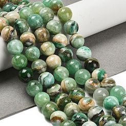 Natural Green Line Jasper  Beads Strands&nbsp;G-B128-A03-04