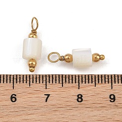 Natural Freshwater Shell Pendants&nbsp;SH-CBA5EEC-14G