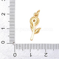 Valentine's Day Brass Micro Pave Cubic Zirconia Pendants&nbsp;KK-H273-42G-02