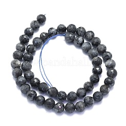 天然ラルビカイトビーズ連売り  ラウンド  ファセット（128ファセット）  8mm  穴：1.2mm  約46個/連  36~37cm&nbsp;G-K310-A17-8mm