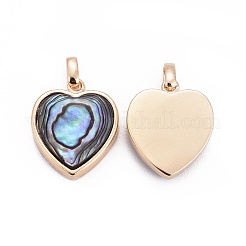 Natural Abalone Shell/Paua ShellCharms&nbsp;X-BSHE-F011-04B-G