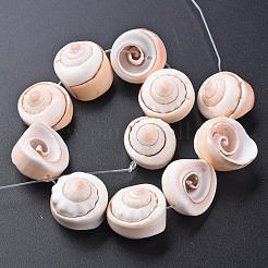 Natural Spiral Shell Bead Strands&nbsp;SSHEL-N034-106