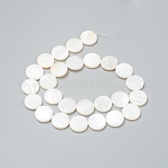 Natural Freshwater Shell Beads&nbsp;BSHE-I011-01B-02