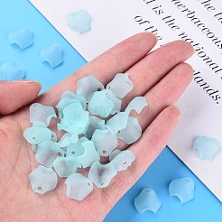 Transparent Acrylic Beads&nbsp;MACR-S373-106-D04