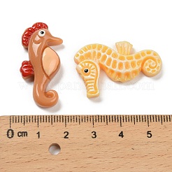 不透明樹脂デコデンカボション  タツノオトシゴ  ミックスカラー  32~33x17~20x5~7mm&nbsp;CRES-I043-05