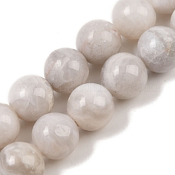 Round Natural Crazy Lace Agate Beaded Strands&nbsp;G-L374-01-12mm