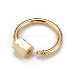 Brass Screw Carabiner Lock Charms&nbsp;X-KK-T047-06G