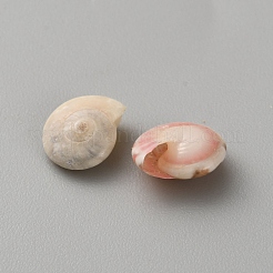 水槽の装飾用の天然巻き貝  ミックスカラー  6~10x5~8.5x2.5~4.5mm  5555~20000個/ 1000g&nbsp;AJEW-WH0816-162B