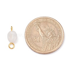Natural White Moonstone Links Connectors&nbsp;PALLOY-JF01073-02