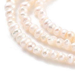 天然養殖淡水パールビーズ連売り  ポテト  桃パフ  1.5~2mm  穴：0.3mm  約95~111個/連  6.89~7.48インチ（17.5~19cm）&nbsp;PEAR-C003-02B