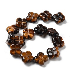 Natural Tiger Eye Beads Strands&nbsp;G-P520-A09-01