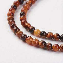Natural Tiger Eye Bead Strand&nbsp;G-G680-48
