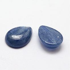 Teardrop Natural Kyanite/Cyanite/Disthene Cabochons&nbsp;G-O145-01D