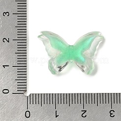 Transparent Resin Cabochon&nbsp;CRES-I050-03