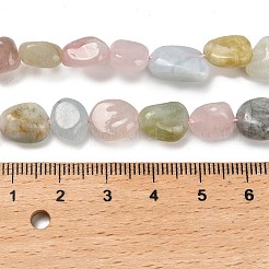 Natural Morganite Beads Strands&nbsp;G-P497-01E-33