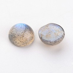 天然石ラブラドライトカボション  半円/ドーム  8x4mm&nbsp;X-G-D804-02