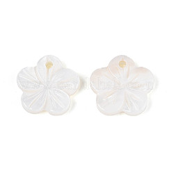 天然淡水貝の彫刻された花のチャーム  貝殻色  14~15x14.5~15x2.5~3mm  穴：1.6mm&nbsp;SHEL-N038-10