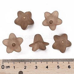 Transparent Acrylic Beads&nbsp;PLF018-14
