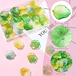 40Pcs 5 Colors Glass Beads&nbsp;GLAA-YW0003-80