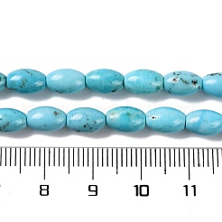 Natural Howlite Beads Strands&nbsp;G-H025-02B