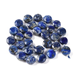 Natural Lapis Lazuli Beads Strands&nbsp;G-N342-16