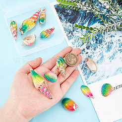 12Pcs 6 Styles Electroplated Natural Mixed Shell Big Pendants&nbsp;SSHEL-GA0001-06