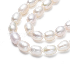 天然養殖淡水パールビーズ連売り  ライス  貝殻色  6~7.5x4.5~5mm  穴：0.6mm  約51~52個/連  13.78インチ（35cm）&nbsp;LS-PEAR-N012-04C
