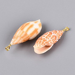 真鍮と天然ミトラ貝の大きなペンダント  巻貝チャーム  ライトゴールド  オレンジ  32~57x12~22x11~20mm  穴：4~5x3.5mm&nbsp;SHEL-Q029-17KCG