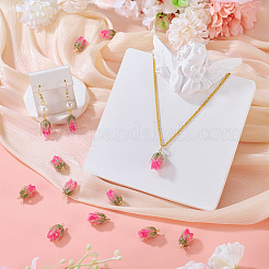 10Pcs Transparent Acrylic Pendants&nbsp;SACR-TA0001-66A