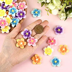 50Pcs 5 Colors Opaque Resin Cabochons&nbsp;FIND-SC0020-81