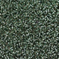 MIYUKI Delica Beads&nbsp;SEED-J020-DB2165
