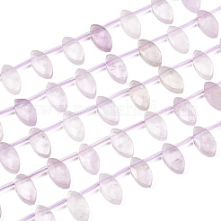 Natural Amethyst Beads Strands&nbsp;G-P607-A05-01