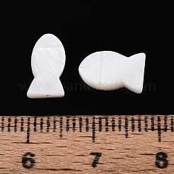 Natural Freshwater Shell Beads&nbsp;SHEL-T020-65