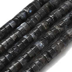 Natural Larvikite Beads Strands&nbsp;G-Z110-A05-2x4mm