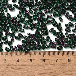 Spray Painted Glass Seed Beads&nbsp;SEED-F005-10A-03