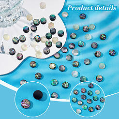90Pcs 3 Colors Acrylic Imitation Shell Cabochons&nbsp;MACR-PH0001-65A