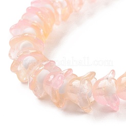 Transparent Glass Beads Strands&nbsp;LAMP-H061-01D-05