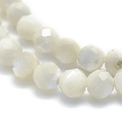 Natural White Shell Beads&nbsp;G-O171-09-6mm