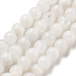 Round Grade A Natural Rainbow Moonstone Bead Strands&nbsp;G-M304-06-5mm
