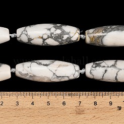 Natural Howlite Beads Strands&nbsp;G-L654-G17-01