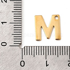 304 Stainless Steel Charms&nbsp;STAS-B093-12G-M