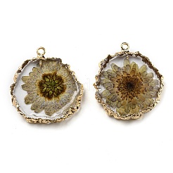 Inner Dried Flower Resin Pendants&nbsp;RESI-P028-02KCG-05