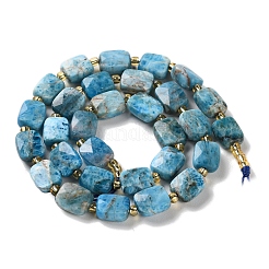 Natural Apatite Beads Strands&nbsp;G-H061-A04-01