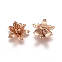3D真鍮ビーズキャップ  花  マルチ花弁  ライトゴールド  トレイ：5mm  16x6.5mm  穴：0.8mm&nbsp;KK-G368-04KCG